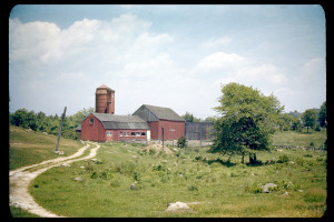 ShorelineBarn8x12Online